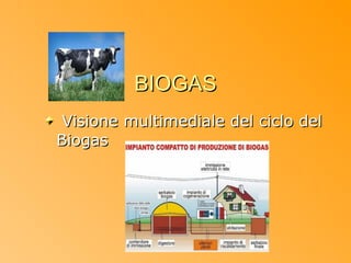 BIOGAS
 Visione multimediale del ciclo del
Biogas
 