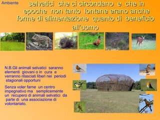 Ambiente    selvatici che ci circondano e che in
          epoche non tanto lontane erano anche
        forme di alimentazione quanto di beneficio
                          all’uomo




 N.B.Gli animali selvatici saranno
 elementi giovani o in cura e
 verranno rilasciati liberi nei periodi
  stagionali opportuni
 Senza voler farne un centro
 impegnativo ma semplicemente
 un recupero di animali selvatici da
  parte di una associazione di
 volontariato.
 