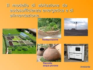 Il modello di abitazione da
  autosufficienza energetica e di
  alimentazione.




                 fitodepurazione




                  Raccolta
                  acqua piovana
                                    Ambiente
 