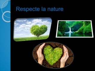 Respecte la nature
 
