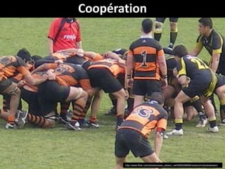 Coopération




       http://www.flickr.com/photos/www_ukberri_net/5465298684/sizes/z/in/photostream/
 