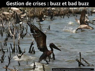 Gestion de crises : buzz et bad buzz




                    http://www.flickr.com/photos/planetevivante/4641618168/sizes/z/in/photostream/
 