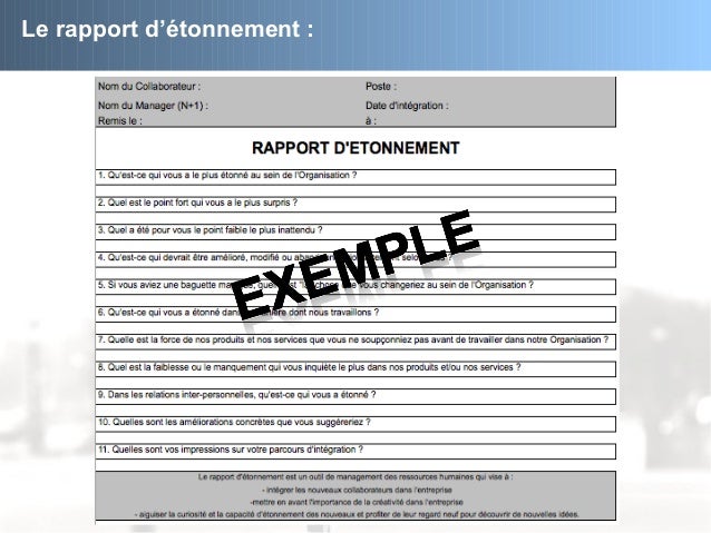 P2i Parcours Individuel Integration Au Sein D Une Organisation De T