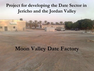 Moon Valley Date Factory Project for developing the Date Sector in  Jericho and the Jordan Valley 