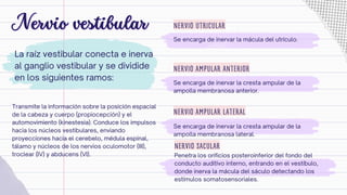 Par craneal 8. nervios craneales.....pdf