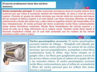 El nervio oculomotor tiene dos núcleos
motores:
Núcleo oculomotor principal: El núcleo oculomotor principal se ubica en la parte anterior de la
sustancia gris que rodea al acueducto cerebral del mesencéfalo, se ubica a nivel del colículo
superior. Consiste en grupos de células nerviosas que inervan todos los músculos extrínsecos
del ojo excepto el oblicuo superior y el recto lateral. Las fibras nerviosas eferentes se dirigen
anteriormente a través del núcleo rojo y salen sobre la superficie anterior del mesencéfalo en la
fosa interpeduncular. El núcleo principal del nervio oculomotor recibe fibras corticonucleares
desde ambos hemisferios cerebrales. Recibe fibras tectobulbares del colículo superior y a
través de esta vía le llega información de la corteza visual. También recibe fibras desde el
fascículo longitudinal medial, por el cual está conectado con los núcleos de los nervios
craneanos cuarto, sexto y octavo.


                            Núcleo parasimpático accesorio: El núcleo parasimpático
                            accesorio (núcleo de Edinger - Westphal) está ubicado por
                            detrás del núcleo motor principal. Los axones de las células
                            nerviosas, que son preganglionares, acompañan a otras fibras
                            oculomotoras hasta la órbita. Aquí hacen sinapsis en el
                            ganglio ciliar y las fibras post ganglionares pasan a través de
                            los nervios ciliares cortos hasta el esfínter de la pupila del iris
                            y los músculos ciliares. El núcleo parasimpático accesorio
                            recibe fibras corticonucleares para el reflejo de acomodación
                            y fibras del núcleo pretectal para los reflejos foto motor
                            directo y consensual.
 