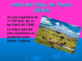 PARC NATURAL DE TSAVOPARC NATURAL DE TSAVO
(KENIA)(KENIA)
 Té una superfície de
11.747 km2. Es va
fer l'abril de 1.948.
 La major part del
parc consisteix en
praderies semi-
àrides i sabana.
 