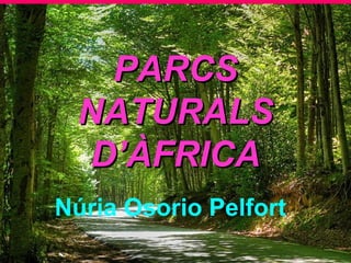 PARCSPARCS
NATURALSNATURALS
D’ÀFRICAD’ÀFRICA
Núria Osorio Pelfort
 