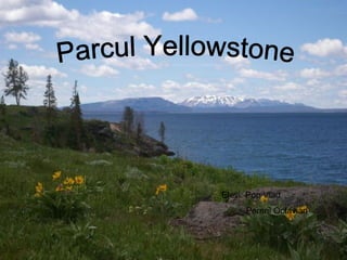 Parcul Yellowstone Elevi: Pop Vlad   Pereni Octavian   