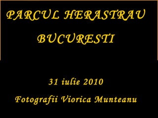 PARCUL HERASTRAU BUCURESTI 31 iulie 2010 Fotografii Viorica Munteanu 