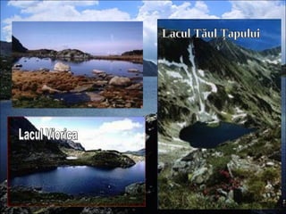 Lacul Tăul Ţapului Lacul Viorica 