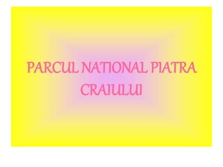PARCUL NATIONAL PIATRA
CRAIULUI
 