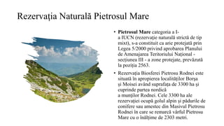 Rezervaţia Naturală Pietrosul Mare
• Pietrosul Mare categoria a I-
a IUCN (rezervaţie naturală strictă de tip
mixt), s-a constituit ca arie protejată prin
Legea 5/2000 privind aprobarea Planului
de Amenajarea Teritoriului Național -
secțiunea III - a zone protejate, prevăzută
la poziția 2563.
• Rezervația Biosferei Pietrosu Rodnei este
situată în apropierea localităților Borşa
și Moisei având suprafața de 3300 ha și
cuprinde partea nordică
a munţilor Rodnei. Cele 3300 ha ale
rezervației ocupă golul alpin și pădurile de
conifere sau amestec din Masivul Pietrosu
Rodnei în care se remarcă vârful Pietrosu
Mare cu o înălțime de 2303 metri.
 