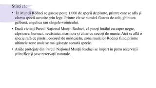 Ştiaţi că:
• În Munții Rodnei se găsesc peste 1.000 de specii de plante, printre care se află și
câteva specii ocrotite prin lege. Printre ele se numără floarea de colț, ghintura
galbenă, angelica sau sângele-voinicului.
• Dacă vizitați Parcul Național Munții Rodnei, vă puteți întâlni cu capre negre,
căprioare, bursuci, nevăstuici, marmote și chiar cu cocoşi de munte. Aici se află o
specie rară de păsări, cocoșul de mesteacăn, zona munților Rodnei fiind printre
ultimele zone unde se mai găsește această specie.
• Ariile protejate din Parcul Național Munții Rodnei se împart în patru rezervații
științifice și șase rezervații naturale.
 