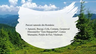 Parcuri naturale din România:
• Apuseni, Bucegi, Cefa, Comana, Geoparcul
Dinozaurilor "Ţara Haţegurilor", Lunca
Mureşului, Porţile de Fier, Văcăreşti.
 