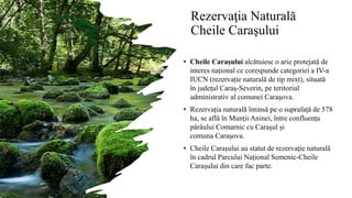 Rezervaţia Naturală
Cheile Caraşului
• Cheile Carașului alcătuiesc o arie protejată de
interes național ce corespunde categoriei a IV-a
IUCN (rezervație naturală de tip mixt), situată
în judeţul Caraş-Severin, pe teritoriul
administrativ al comunei Caraşova.
• Rezervația naturală întinsă pe o suprafață de 578
ha, se află în Munţii Aninei, între confluența
pârâului Comarnic cu Caraşul și
comuna Caraşova.
• Cheile Carașului au statut de rezervaţie naturală
în cadrul Parcului Naţional Semenic-Cheile
Caraşului din care fac parte.
 