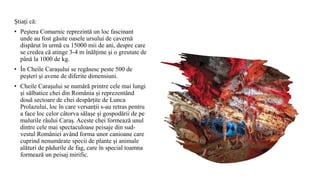 Ştiaţi că:
• Peştera Comarnic reprezintă un loc fascinant
unde au fost găsite oasele ursului de cavernă
dispărut în urmă cu 15000 mii de ani, despre care
se credea că atinge 3-4 m înălţime şi o greutate de
până la 1000 de kg.
• În Cheile Caraşului se regăsesc peste 500 de
peşteri şi avene de diferite dimensiuni.
• Cheile Carașului se numără printre cele mai lungi
și sălbatice chei din România și reprezentând
două sectoare de chei despărțite de Lunca
Prolazului, loc în care versanții s-au retras pentru
a face loc celor câtorva sălașe și gospodării de pe
malurile râului Caraș. Aceste chei formează unul
dintre cele mai spectaculoase peisaje din sud-
vestul României având forma unor canioane care
cuprind nenumărate specii de plante și animale
alături de pădurile de fag, care în special toamna
formează un peisaj mirific.
 