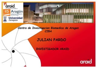 JULIAN PARDO
Centro de Investigacion Biomedica de Aragon
CIBA
INVESTIGADOR ARAID
 