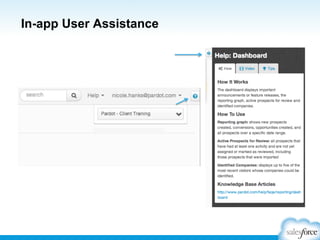 In-app User Assistance

 