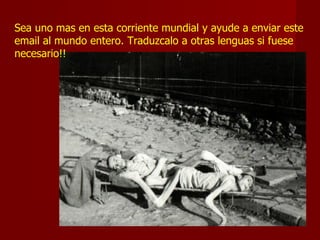 Sea uno mas en esta corriente mundial y ayude a enviar este
email al mundo entero. Traduzcalo a otras lenguas si fuese
necesario!!
 