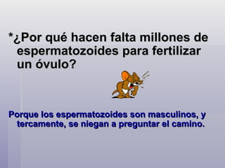 *¿Por qué hacen falta millones de espermatozoides para fertilizar un óvulo? Porque los espermatozoides son masculinos, y tercamente, se niegan a preguntar el camino.  