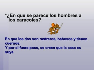 *¿En que se parece los hombres a los caracoles? En que los dos son rastreros, babosos y tienen cuernos.  Y por si fuera poco, se creen que la casa es suya 