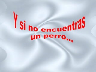 Y si no encuentras un perro... 