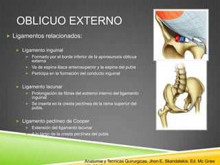 OBLICUO EXTERNO
 Ligamentos relacionados:
 Ligamento inguinal
 Formado por el borde inferior de la aponeurosis oblicua
externa
 Va de espina iliaca anterosuperior y la espina del pubis
 Participa en la formación del conducto inguinal
 Ligamento lacunar
 Prolongación de fibras del extremo interno del ligamento
inguinal
 Se inserta en la cresta pectínea de la rama superior del
pubis.
 Ligamento pectíneo de Cooper
 Extensión del ligamento lacunar
 A lo largo de la cresta pectínea del pubis
Anatomia y Tecnicas Quirurgicas. Jhon E. Skandalakis. Ed. Mc Graw
 