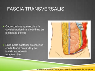 FASCIA TRANSVERSALIS
 Capa continua que recubre la
cavidad abdominal y continua en
la cavidad pélvica
 En la parte posterior es continua
con la fascia profunda y se
inserta en la fascia
toracolumbar.
Anatomia y Tecnicas Quirurgicas. Jhon E. Skandalakis. Ed. Mc Graw
 