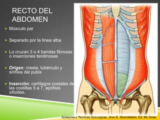 RECTO DEL
ABDOMEN
 Músculo par
 Separado por la línea alba
 Lo cruzan 3 o 4 bandas fibrosas
o inserciones tendinosas
 Origen: cresta, tubérculo y
sínfisis del pubis
 Inserción: cartílagos costales de
las costillas 5 a 7, apófisis
xifoides.
Anatomia y Tecnicas Quirurgicas. Jhon E. Skandalakis. Ed. Mc Graw
 