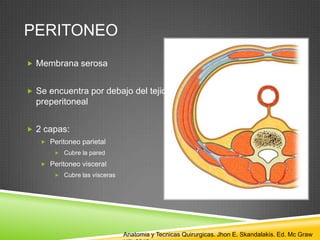 PERITONEO
 Membrana serosa
 Se encuentra por debajo del tejido
preperitoneal
 2 capas:
 Peritoneo parietal
 Cubre la pared
 Peritoneo visceral
 Cubre las vísceras
Anatomia y Tecnicas Quirurgicas. Jhon E. Skandalakis. Ed. Mc Graw
 