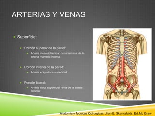 ARTERIAS Y VENAS
 Superficie:
 Porción superior de la pared:
 Arteria musculofrénica: rama terminal de la
arteria mamaria interna
 Porción inferior de la pared:
 Arteria epigástrica superficial
 Porción lateral:
 Arteria iliaca superficial rama de la arteria
femoral
Anatomia y Tecnicas Quirurgicas. Jhon E. Skandalakis. Ed. Mc Graw
 