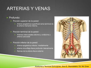 ARTERIAS Y VENAS
 Profundo:
 Porción superior de la pared:
 Arteria epigástrica superficial rama terminal de
la arteria mamaria interna.
 Porción terminal de la pared:
 Arterias intercostales décima y undécima y
arteria subcostal
 Porción inferior de la pared:
 Arteria epigástrica inferior: medialmente
 arteria circunfleja iliaca profunda: lateralmente
 Ramas de la arteria iliaca externa
Anatomia y Tecnicas Quirurgicas. Jhon E. Skandalakis. Ed. Mc Graw
 