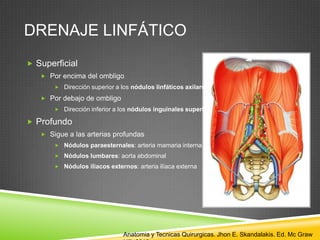 DRENAJE LINFÁTICO
 Superficial
 Por encima del ombligo
 Dirección superior a los nódulos linfáticos axilares
 Por debajo de ombligo
 Dirección inferior a los nódulos inguinales superficiales
 Profundo
 Sigue a las arterias profundas
 Nódulos paraesternales: arteria mamaria interna
 Nódulos lumbares: aorta abdominal
 Nódulos iliacos externos: arteria ilíaca externa
Anatomia y Tecnicas Quirurgicas. Jhon E. Skandalakis. Ed. Mc Graw
 