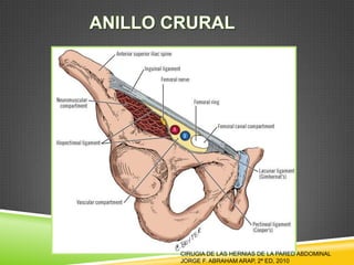 CIRUGIA DE LAS HERNIAS DE LA PARED ABDOMINAL
JORGE F. ABRAHAM ARAP, 2ª ED, 2010
 