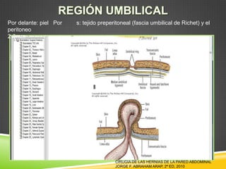 Por delante: piel Por s: tejido preperitoneal (fascia umbilical de Richet) y el
peritoneo
2-3mm
CIRUGIA DE LAS HERNIAS DE LA PARED ABDOMINAL
JORGE F. ABRAHAM ARAP, 2ª ED, 2010
 