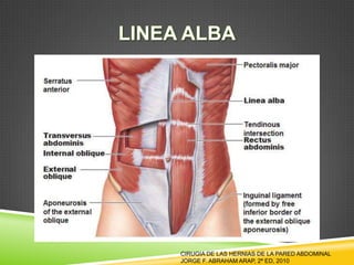 CIRUGIA DE LAS HERNIAS DE LA PARED ABDOMINAL
JORGE F. ABRAHAM ARAP, 2ª ED, 2010
 