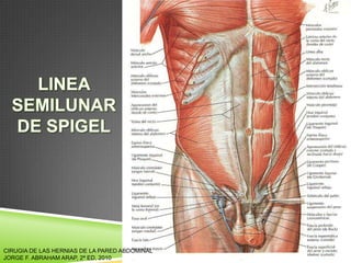 CIRUGIA DE LAS HERNIAS DE LA PARED ABDOMINAL
JORGE F. ABRAHAM ARAP, 2ª ED, 2010
 