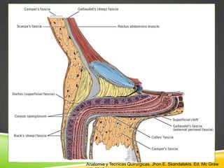 Anatomia y Tecnicas Quirurgicas. Jhon E. Skandalakis. Ed. Mc Graw
 