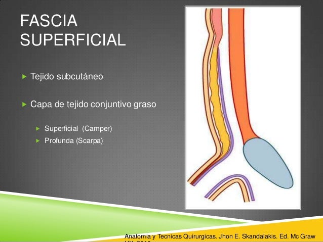fascia de camper e escarpa fascia de camper e escarpa