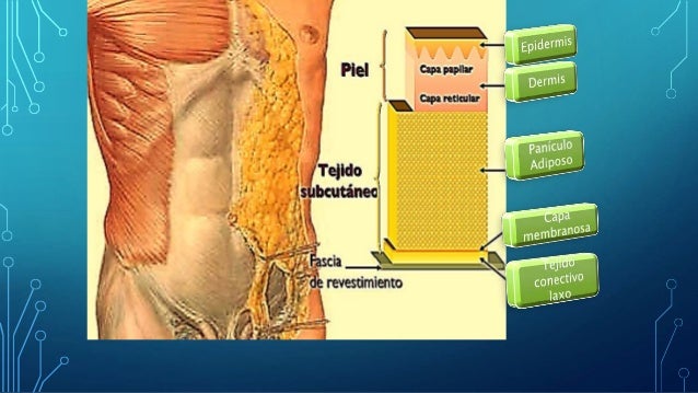 Anatomia Pared Abdominal Completa