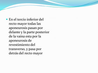  En el tercio inferior del
recto mayor todas las
aponeurosis pasan por
delante y la parte posterior
de la vaina esta por la
aponeurosis de
revestimiento del
transverso, y pasa por
detrás del recto mayor
 