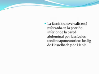  La fascia transversalis está
reforzada en la porción
inferior de la pared
abdominal por fascículos
tendinoaponeuroticos los lig
de Hesselbach y de Henle
 