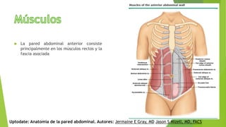  La pared abdominal anterior consiste
principalmente en los músculos rectos y la
fascia asociada
Uptodate: Anatomía de la pared abdominal. Autores: Jermaine E Gray, MD Jason S Mizell, MD, FACS
 