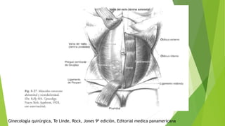 Ginecología quirúrgica, Te Linde, Rock, Jones 9ª edición, Editorial medica panamericana
 
