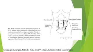 Ginecología quirúrgica, Te Linde, Rock, Jones 9ª edición, Editorial medica panamericana
 