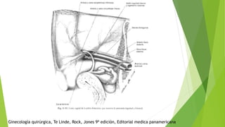 Ginecología quirúrgica, Te Linde, Rock, Jones 9ª edición, Editorial medica panamericana
 