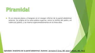  Es un músculo plano y triangular en el margen inferior de la pared abdominal
anterior. Se origina en la rama púbica superior, entre la sínfisis del pubis y el
tubérculo púbico, y se inserta superomedialmente en la línea alba.
Uptodate: Anatomía de la pared abdominal. Autores: Jermaine E Gray, MD Jason S Mizell, MD, FACS
 