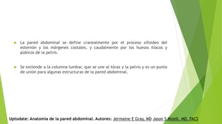  La pared abdominal se define cranealmente por el proceso xifoideo del
esternón y los márgenes costales, y caudalmente por los huesos ilíacos y
púbicos de la pelvis.
 Se extiende a la columna lumbar, que se une al tórax y la pelvis y es un punto
de unión para algunas estructuras de la pared abdominal.
Uptodate: Anatomía de la pared abdominal. Autores: Jermaine E Gray, MD Jason S Mizell, MD, FACS
 