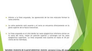  Inferior a la línea arqueada, las aponeurosis de los tres músculos forman la
vaina anterior.
 La vaina posterior está ausente y el recto se encuentra directamente en la
parte superior de la fascia transversal.
 La línea arqueada es el sitio donde los vasos epigástricos inferiores entran en
la vaina del recto, viajan en posición superior y convergen con los vasos
epigástricos superiores. La línea arqueada está ausente en hasta el 30 por
ciento de los individuos.
Uptodate: Anatomía de la pared abdominal. Autores: Jermaine E Gray, MD Jason S Mizell, MD, FACS
 